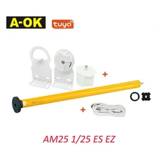 A-OK 투야 지그비 스마트 관형 모터 DC 롤러 블라인드 리튬 RF433 커튼 38mm 튜브 알렉사 구글 홈 AM25, 03 Motor N Bracket