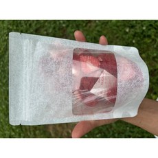 [새아침과일칩] 동결건조 딸기 대용량 국산 100% 10봉, 10개, 17g