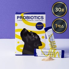 강아지 고양이 유산균 영양제 가루 시틱형 노견 장건강 치매예방 인지기능장애 예방 영양제 프로바이오틱스 2g 10포, 1세트, 뇌/인지, 30회분