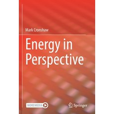 (영문도서) Energy in Perspective Paperback, Springer, English, 9783030635435