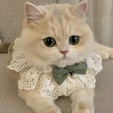 [해피매리] 댕냥이 진주 레이스 케이프 세트, 1개, 카키