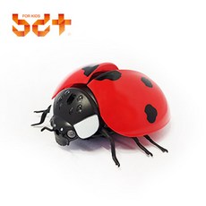 무선조종 배틀 무당벌레 아동 장난감 파충류교구 어린이집교재 곤충