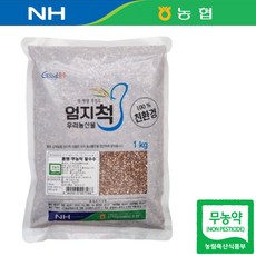 강원 정선 25년산 국산 무농약 수수 1kg 찰수수 수수쌀 수수밥, 1개