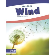 Wind Library Binding, Focus Readers, English, 9781641857949