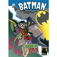 Five Riddles for Robin Paperback, Stone Arch Books