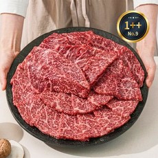 미쓰하누 1++No.9등급 한우 구이모듬 600g 눈꽃로스구이, 1개
