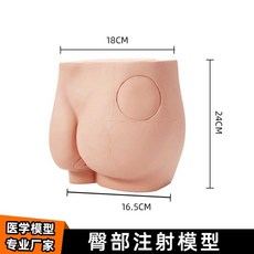 엉덩이모형 엉덩이 주사 연습 실습 간호사 교육, 1개, 엉덩이 주사 모델