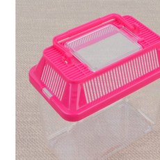 별구나라 곤충 파충류 햄스터 어항 곤충 사육 채집통 미니 사슴벌레통