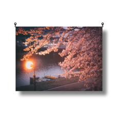 해룸 대형 패브릭 포스터 두꺼비집 가리개 페브릭 태피스트리 가림천 아트 행잉 초대형, 5.벚꽃 호수