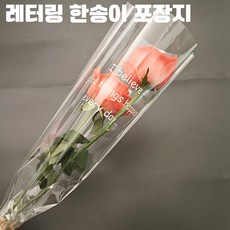파티브로 레터링 한송이 꽃다발 투명 포장지 OPP 봉투, 50장, 올투명