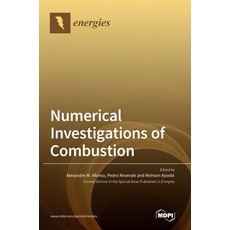 (영문도서)Numerical Investigations of Combustion Hardcover, Mdpi AG, English, 9783036546834