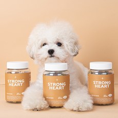 펫케어유니온 강아지 심장 건강 영양제 스트롱하트, 1개