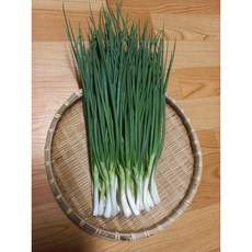 깐 쪽파 300g, 1개