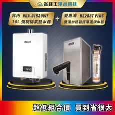 林內 RUA-C1630WF 16L 強制排氣熱水器 + 愛惠浦 HS288T PLUS 雙溫加熱器 + 4H2單道淨水器