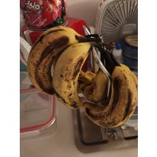 초록바나나 국내산 무농약 산지직송 영양성분 껍질 제철 1.5kg 1개