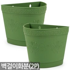 세인화분 장미 벽걸이화분 2P 받침포함 - 걸이분 플분 플라스틱 걸이 중형 식물 행잉 인테리어 실내 거실, 장미벽걸이화분, 2개