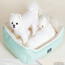 라담상점 도그포즈 베드방석 중형민트 애완견방석