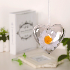 하트 투명공 플라스틱 아크릴볼 캡슐 8cm 1P, 투명하트공-8cm, 1개