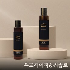 우드세이지 씨솔트 100ml 공기정화 방향제 오일베이스