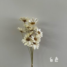 “Be a florist 花藝夢* 手工瑪格麗特 "十支販售" 木片花 瑪格麗特 乾燥花 永生花 不凋花, 白色
