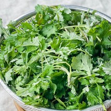 거문도 생쑥 햇쑥, 거문도 해풍 생쑥 1kg, 1개