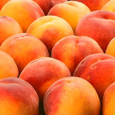 [선착순 100박스] 황도복숭아 반말랑이 달콤쫀득 로얄과, 1개, 4kg