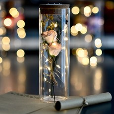 아르띠콜로 행복 LED 유리병 꽃다발 편지지 세트, 샴페인