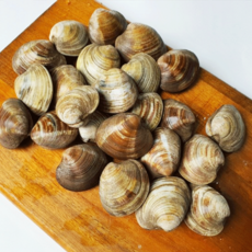 먹부장 연안 백상합 1kg