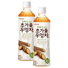 롯데칠성음료 잘빠진 하루 초가을 우엉차, 500ml, 24개