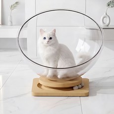 세컨드드랍 고양이 아크릴 우주선 해먹 대형, 투명, 1개
