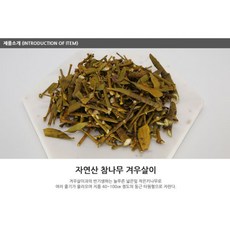 천연원료 자연산 참나무 건조 겨우살이 200g 국내산 마이산약초