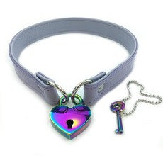 자물쇠 초커 칼라 목걸이 잠금 및 키 하트 락 초커 여성 및 남성용 E 14 436763, 18 Inches, c