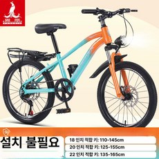 KN 20인치자전거 20인치자전거 자전거20인치, 단일 속도, 18인치, 스포크 휠 오렌지그린 B