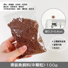 魚飼料 隨手包 餵魚 烏龜 野鴨 魚苗 公園餵魚, 1個, 裸裝魚飼料(中顆粒)-100g