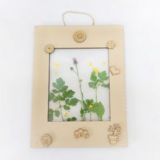 식물 채집 액자 만들기, 1개