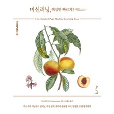 머신러닝 핵심만 빠르게!:기초 수학 개념부터 딥러닝 특성 공학 데이터 불균형 처리 앙상블 모델 평가까지, 인사이트, 안드리 부르코프