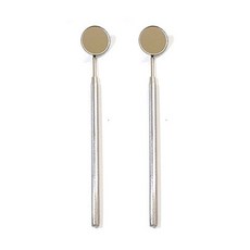 바다르산스 의료용 고급스텐 치경, 2개