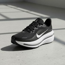 나이키 윈플로 12 HV9272-002 남성 런닝화 운동화