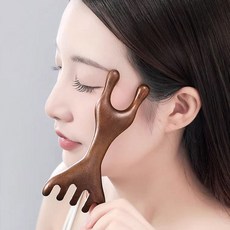 괄사 마사지 빗 두피 얼굴 괄사기 마사지기 DD-13015 byd1108ax, 단일, 1개