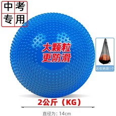 투포환 포환 공 던지기 훈련 체대 입시 실기 1KG 2KG, 큰입자파란색2KG[저장봉투보내기], 1개