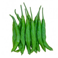 맛통령 국내산 꽈리고추, 1개, 꽈리고추 1kg