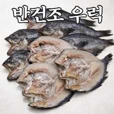 [산지직송] 반건조 우럭 3미 세트, 1개, 3미 (20cm 내외)