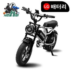 2026이지베이션 전기자전거 슬릭 미니 C5 750W 16인치 LG셀 48V 10Ah, 실버, 스틸
