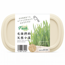 愛貓園【lovecat】大麥草DIY植栽趣 貓草，天然無毒，補充纖維，促進腸胃蠕動，貓咪健康零食, 60g, 1套, 大麥