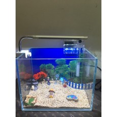 邦邦水族 龍貓世界 7吋套缸組 減壓療癒, 1個, 裡面造景999