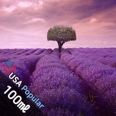 F017 몽겔랑 100ml (Montgelland) 프래그런스오일 캔들 디퓨저 향수, 1개