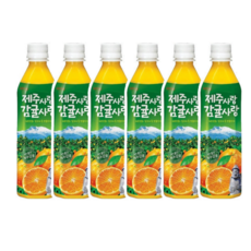 롯데칠성음료 제주사랑 감귤사랑 주스, 500ml, 6개