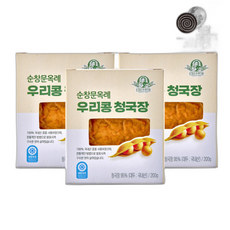 순창문옥례 우리콩 청국장 100% 국산콩 건강한 청국장, 3개, 200g