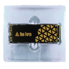 Neo Forza 凌航 NFP4Q5 1TB PCIe Gen4x4 固態硬碟 附石墨烯厚銅散熱片