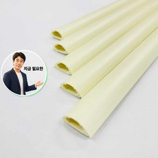 쌍문상회 지금 필요한 고강도 미색 전선몰딩 1호 전선몰드 K31872EA, 본상품